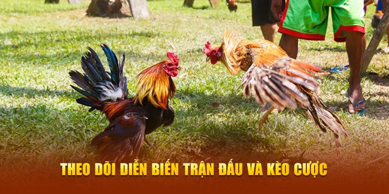 Theo dõi diễn biến trận đấu và kèo cược